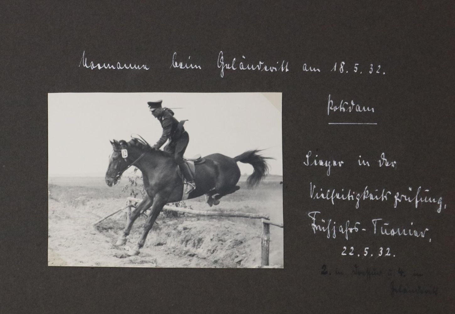 Große Abbildung Nr.2: 133-2043 Album: (Pferde)