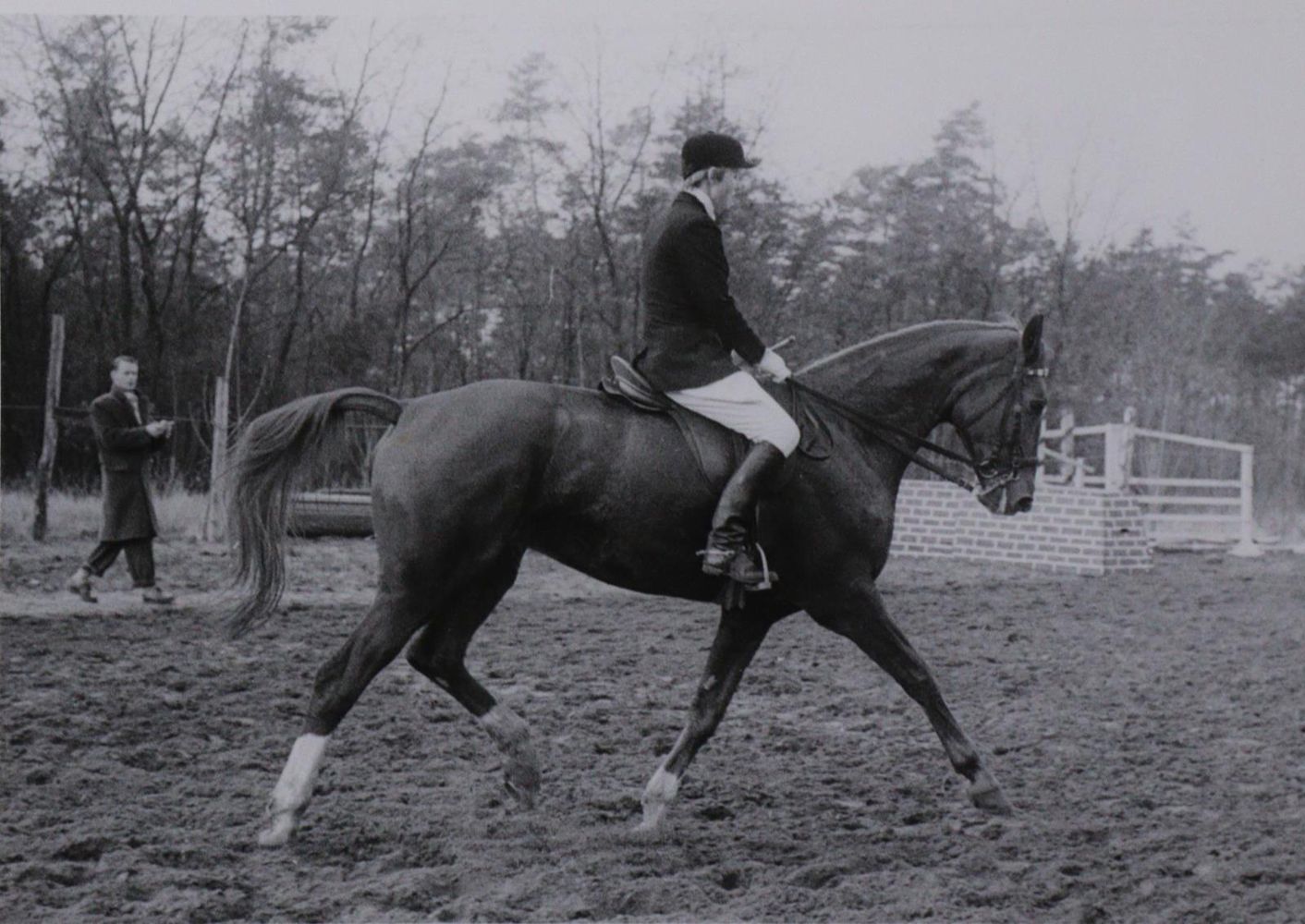 Große Abbildung Nr.1: 133-2044 Pferdesport.: (Photographie)
