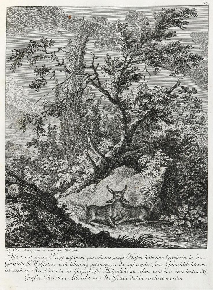 Große Abbildung Nr.1: 133-2110 Ridinger,E.J.: (Varia, Jagd, Hasen)