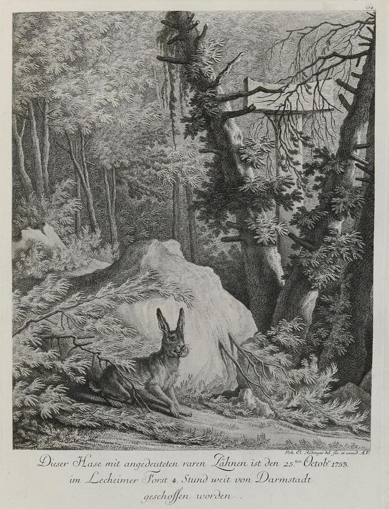 Große Abbildung Nr.1: 133-2111 Ridinger,E.J.: (Varia, Jagd, Hasen)