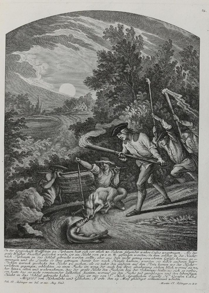 Große Abbildung Nr.1: 133-2113 Ridinger,E.J.: (Varia, Jagd, Hecht)