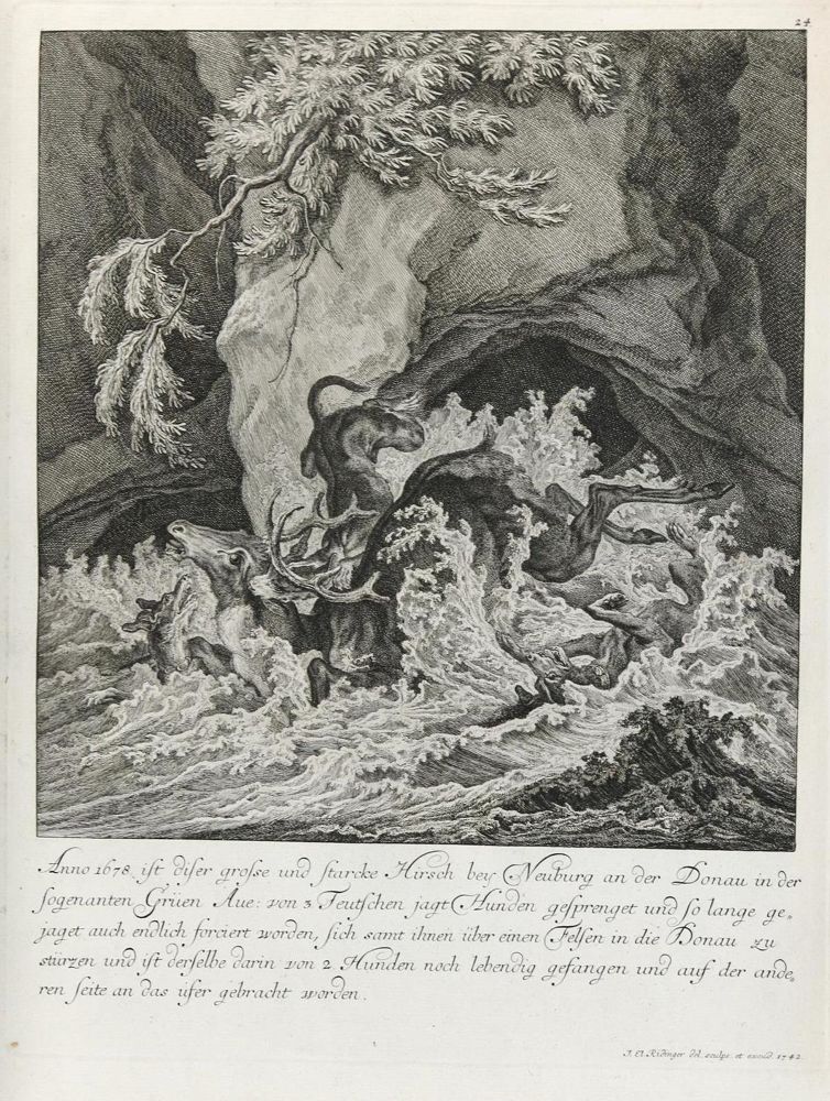 Große Abbildung Nr.1: 133-2116 Ridinger,E.J.: (Varia, Jagd, Hirsche)