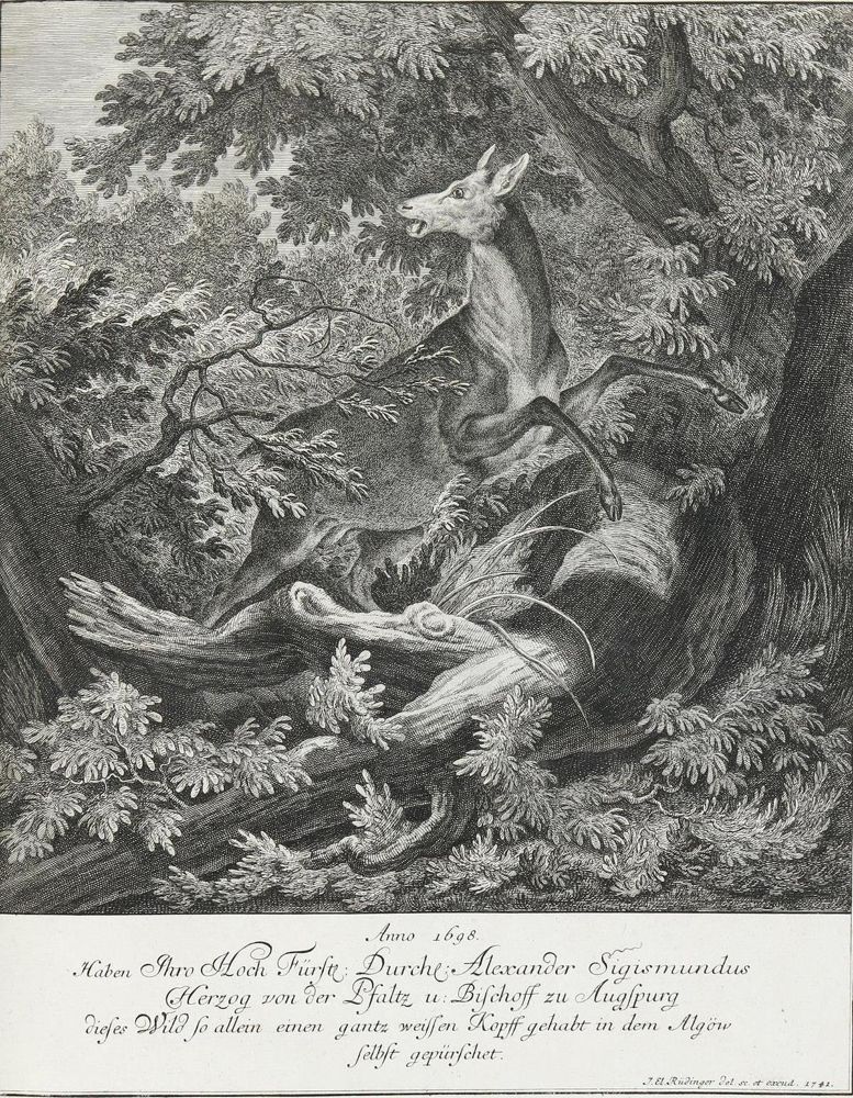 Große Abbildung Nr.1: 133-2117 Ridinger,E.J.: (Varia, Jagd, Hirsche)