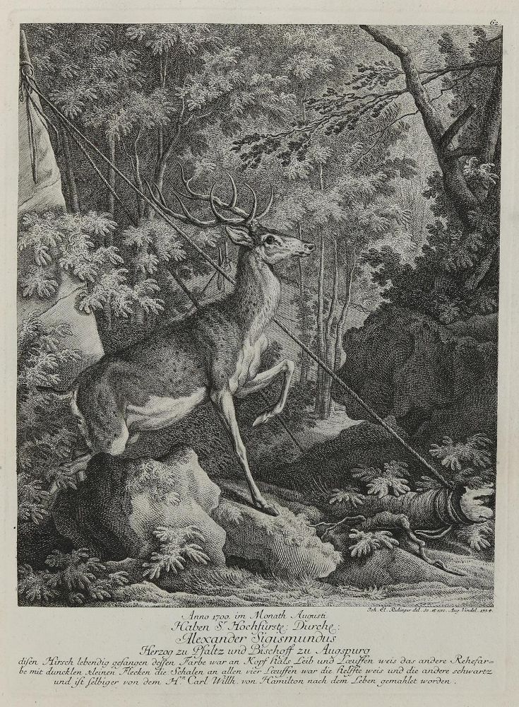 Große Abbildung Nr.1: 133-2118 Ridinger,E.J.: (Varia, Jagd, Hirsche)