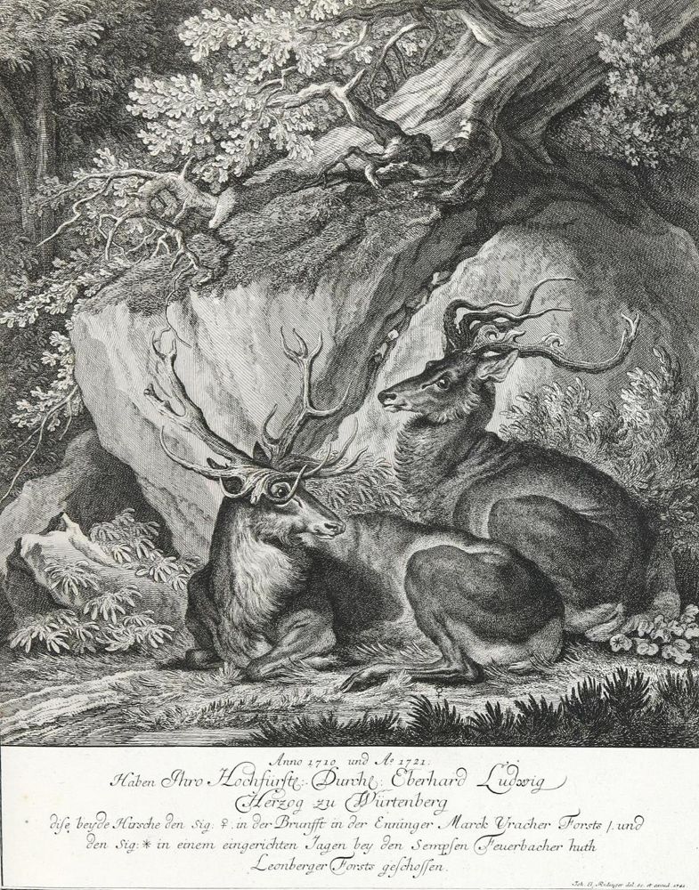 Große Abbildung Nr.1: 133-2119 Ridinger,E.J.: (Varia, Jagd, Hirsche)