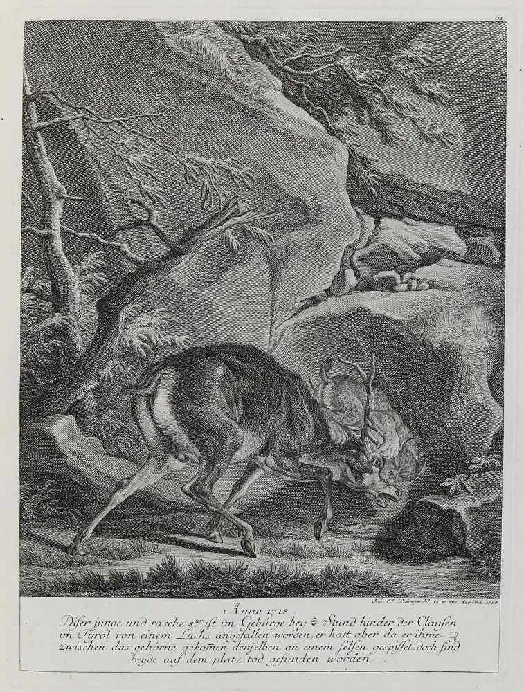 Große Abbildung Nr.1: 133-2120 Ridinger,E.J.: (Varia, Jagd, Hirsche)