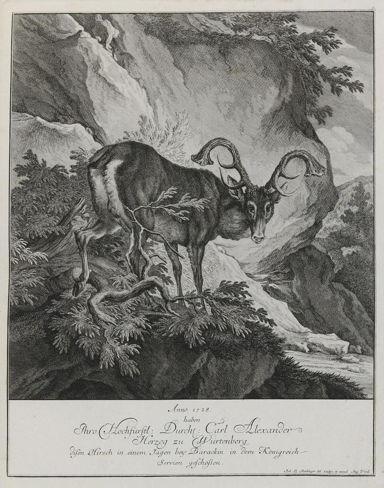 Große Abbildung Nr.1: 133-2121 Ridinger,E.J.: (Varia, Jagd, Hirsche)