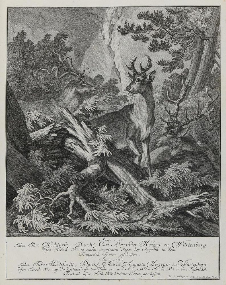 Große Abbildung Nr.1: 133-2122 Ridinger,E.J.: (Varia, Jagd, Hirsche)