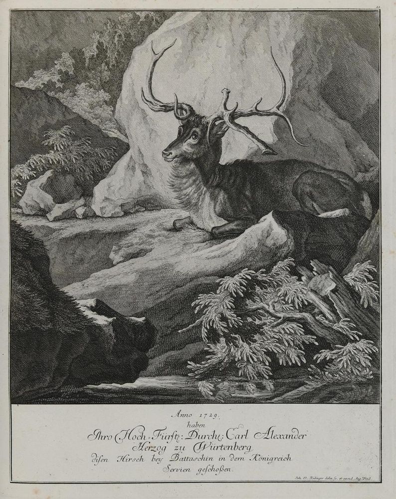 Große Abbildung Nr.1: 133-2123 Ridinger,E.J.: (Varia, Jagd, Hirsche)