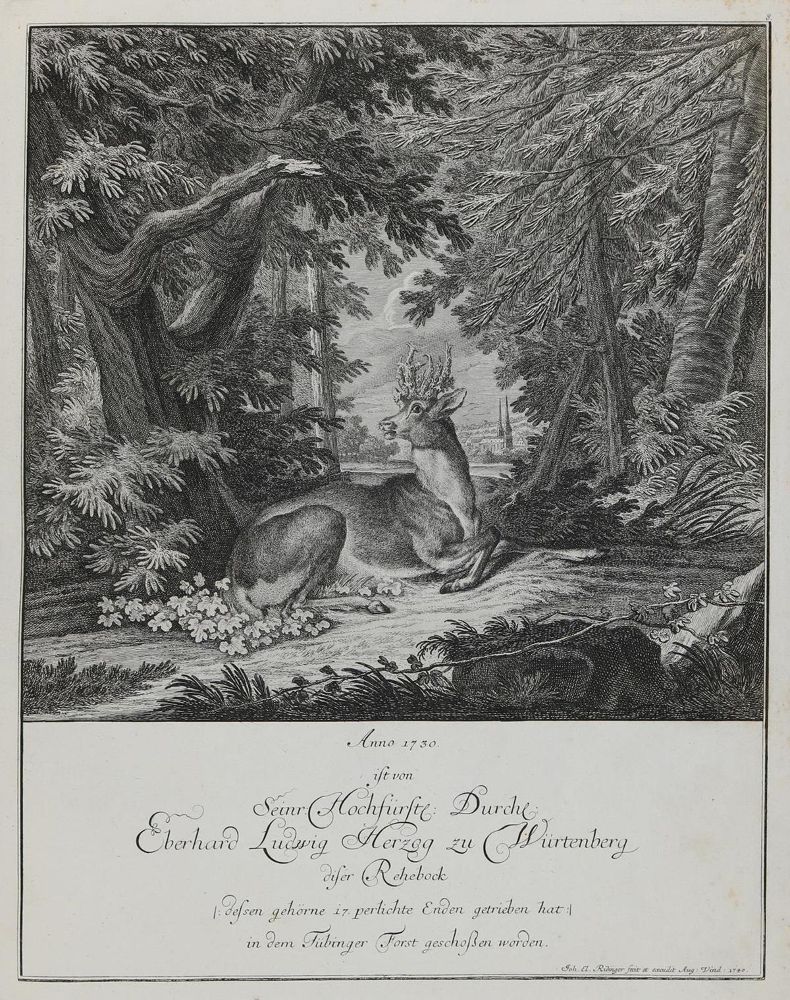 Große Abbildung Nr.1: 133-2124 Ridinger,E.J.: (Varia, Jagd, Hirsche)