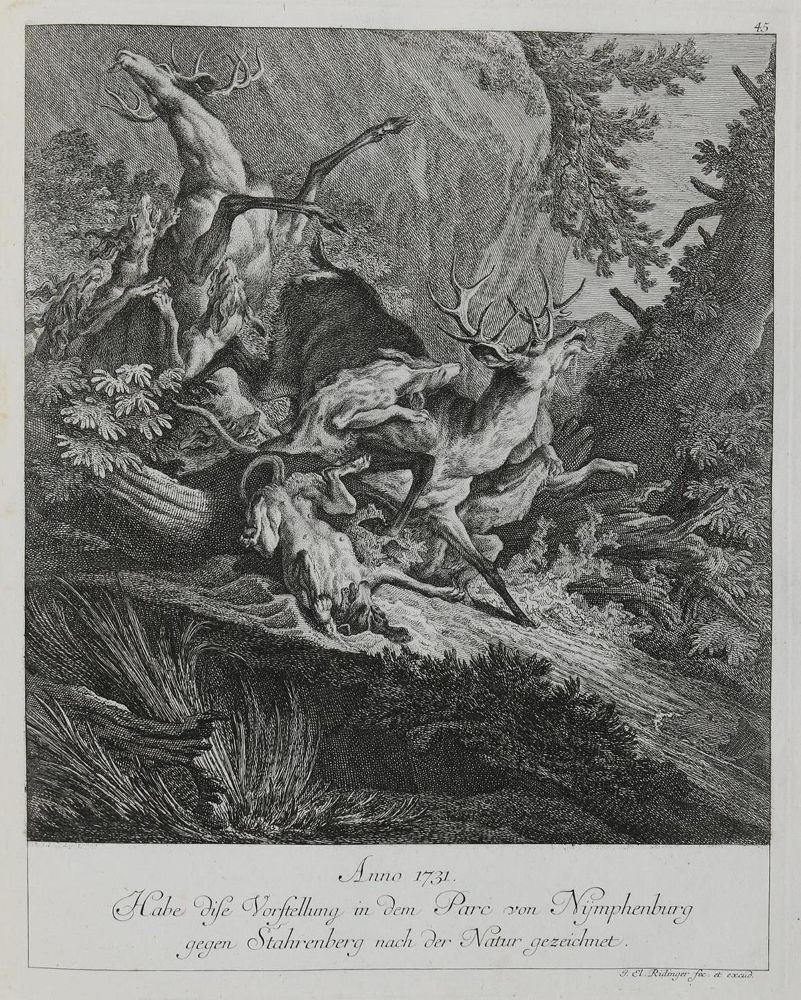 Große Abbildung Nr.1: 133-2125 Ridinger,E.J.: (Varia, Jagd, Hirsche)