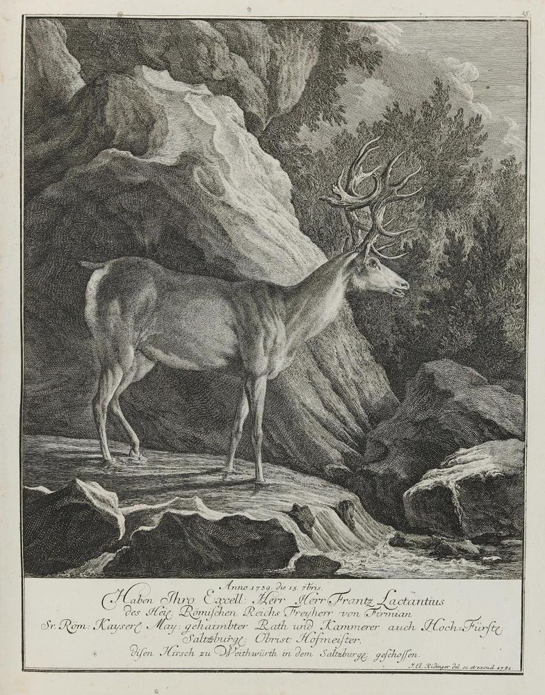 Große Abbildung Nr.1: 133-2128 Ridinger,E.J.: (Varia, Jagd, Hirsche)