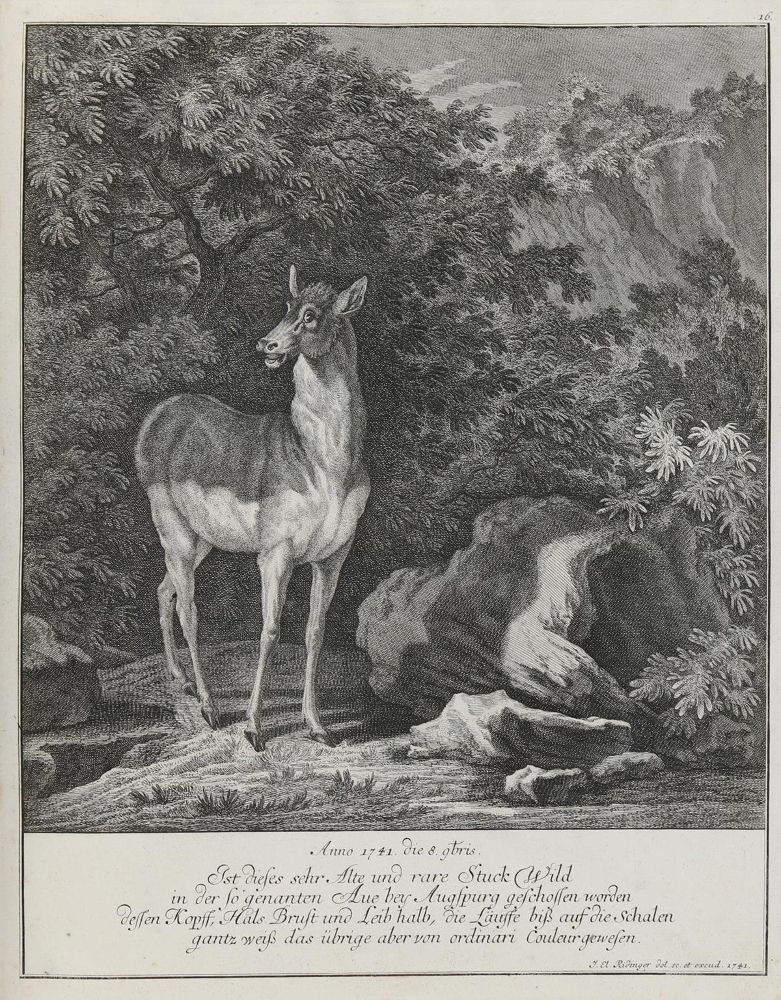 Große Abbildung Nr.1: 133-2129 Ridinger,E.J.: (Varia, Jagd, Hirsche)