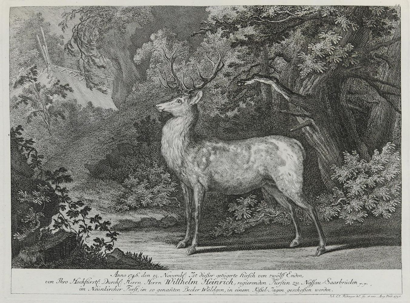 Große Abbildung Nr.1: 133-2130 Ridinger,E.J.: (Varia, Jagd, Hirsche)