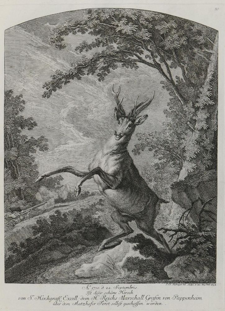 Große Abbildung Nr.1: 133-2131 Ridinger,E.J.: (Varia, Jagd, Hirsche)