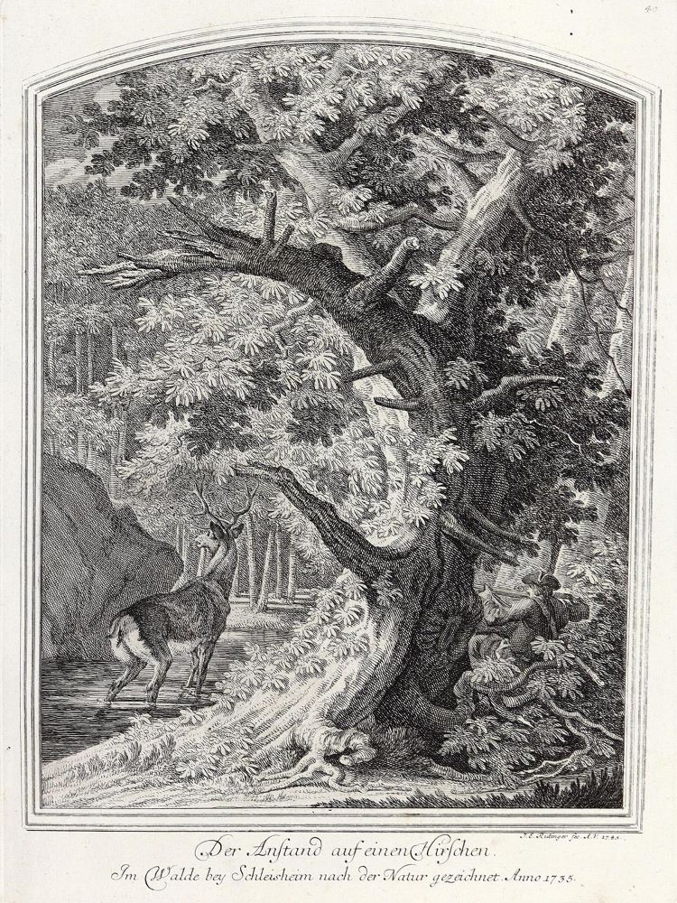 Große Abbildung Nr.1: 133-2134 Ridinger,E.J.: (Varia, Jagd, Hirsche)
