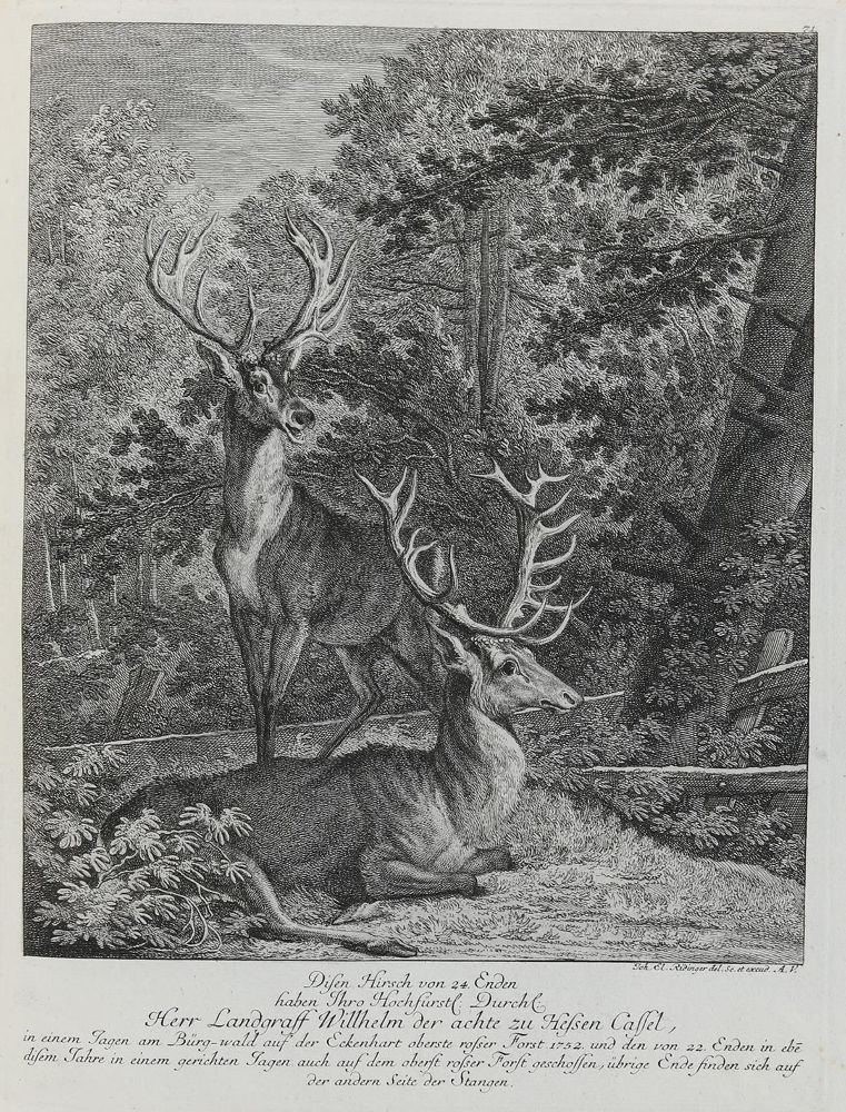Große Abbildung Nr.1: 133-2136 Ridinger,E.J.: (Varia, Jagd, Hirsche)