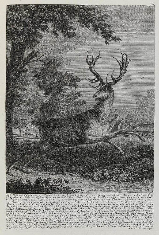 Große Abbildung Nr.1: 133-2137 Ridinger,E.J.: (Varia, Jagd, Hirsche)