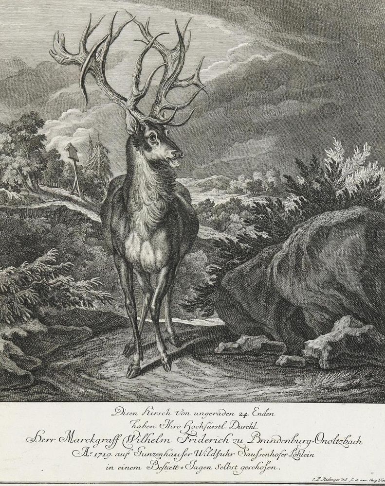 Große Abbildung Nr.1: 133-2139 Ridinger,E.J.: (Varia, Jagd, Hirsche)