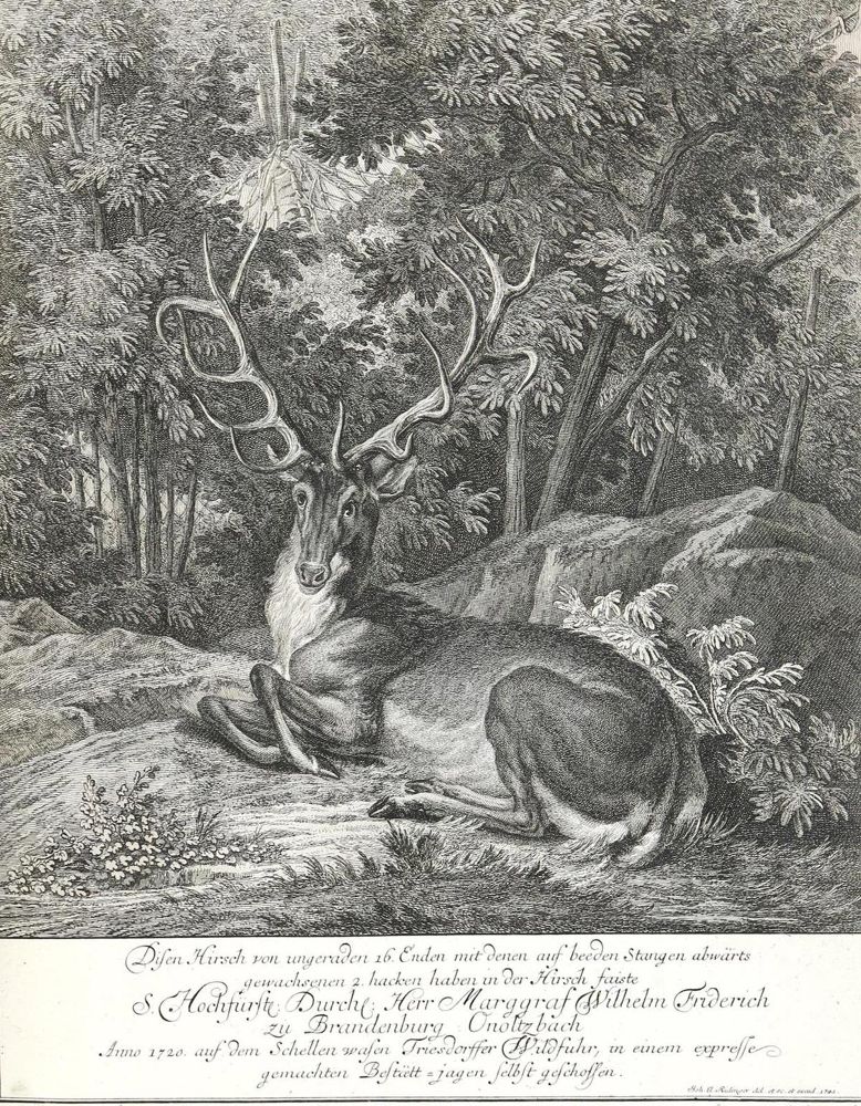 Große Abbildung Nr.1: 133-2140 Ridinger,E.J.: (Varia, Jagd, Hirsche)