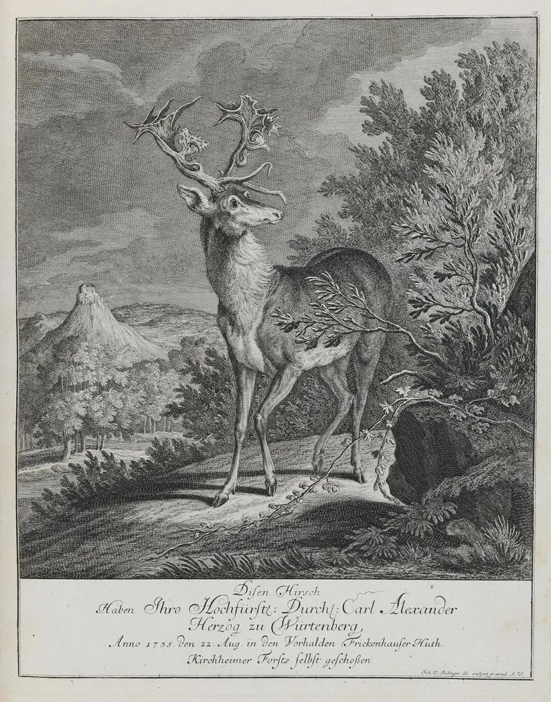 Große Abbildung Nr.1: 133-2141 Ridinger,E.J.: (Varia, Jagd, Hirsche)