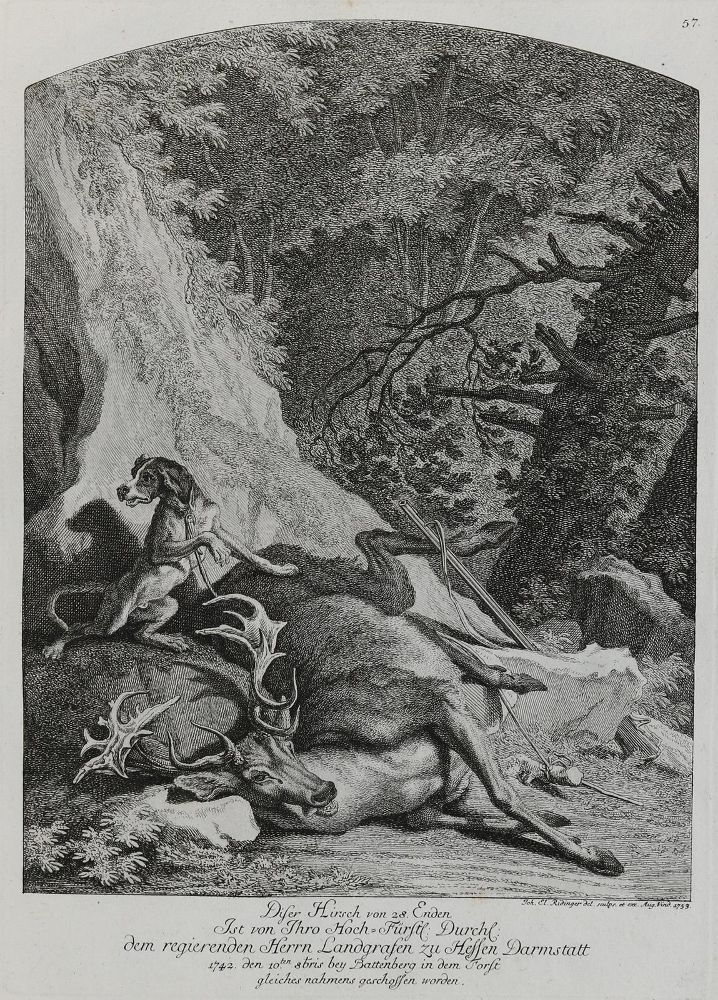 Große Abbildung Nr.1: 133-2143 Ridinger,E.J.: (Varia, Jagd, Hirsche)