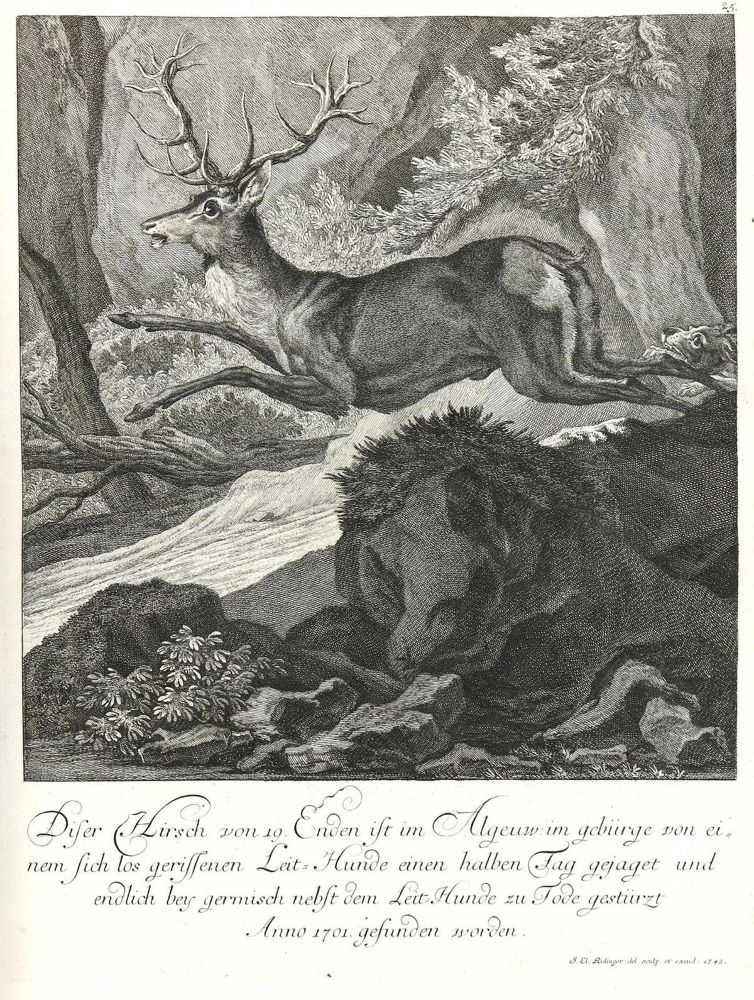 Große Abbildung Nr.1: 133-2145 Ridinger,E.J.: (Varia, Jagd, Hirsche)