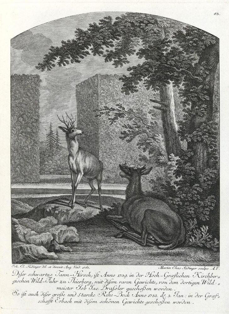 Große Abbildung Nr.1: 133-2146 Ridinger,E.J.: (Varia, Jagd, Hirsche)
