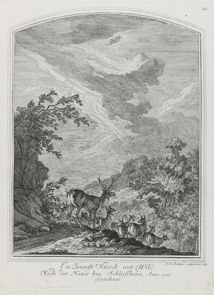 Große Abbildung Nr.1: 133-2147 Ridinger,E.J.: (Varia, Jagd, Hirsche)