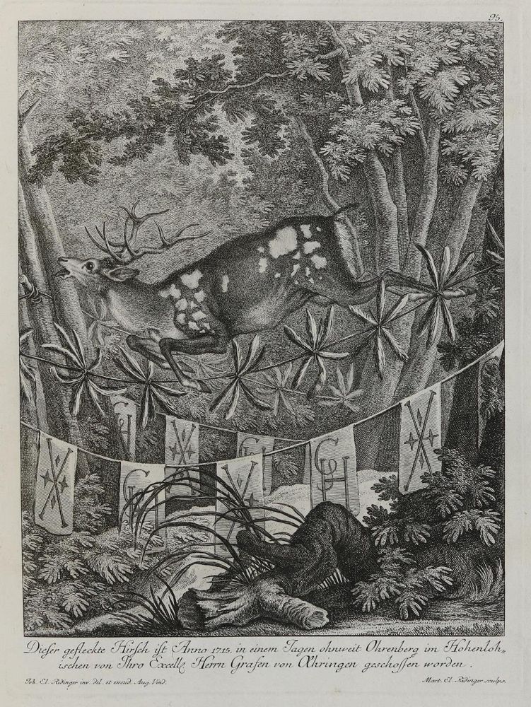 Große Abbildung Nr.1: 133-2149 Ridinger,E.J.: (Varia, Jagd, Hirsche)