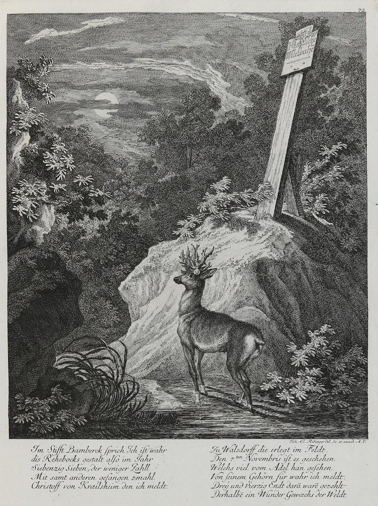Große Abbildung Nr.1: 133-2150 Ridinger,E.J.: (Varia, Jagd, Hirsche)
