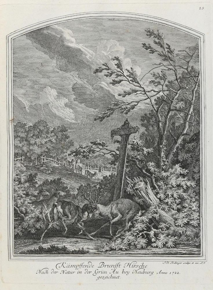 Große Abbildung Nr.1: 133-2151 Ridinger,E.J.: (Varia, Jagd, Hirsche)