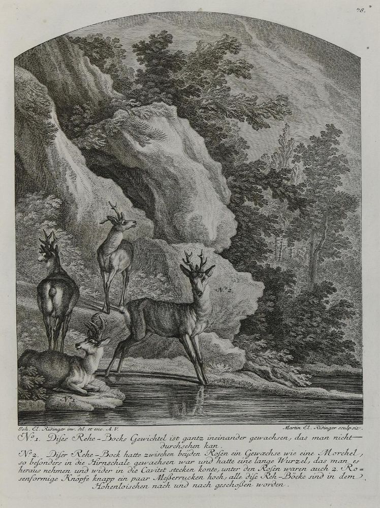 Große Abbildung Nr.1: 133-2152 Ridinger,E.J.: (Varia, Jagd, Hirsche)