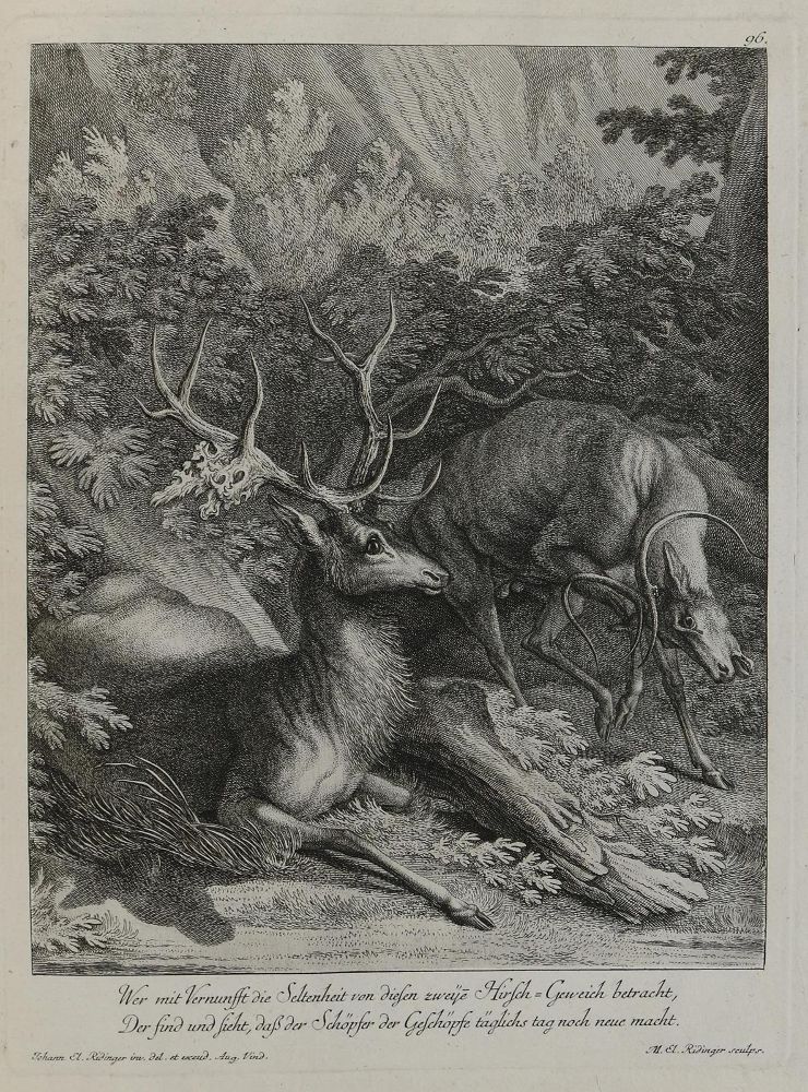 Große Abbildung Nr.1: 133-2154 Ridinger,E.J.: (Varia, Jagd, Hirsche)