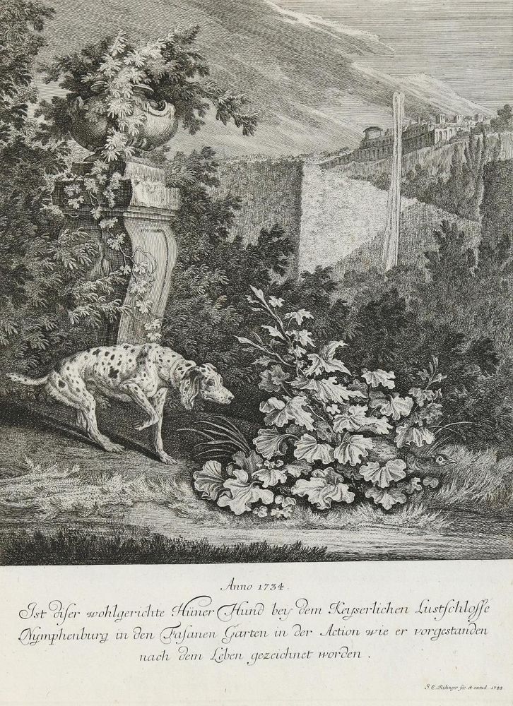 Große Abbildung Nr.1: 133-2156 Ridinger,E.J.: (Varia, Jagd, Hunde)