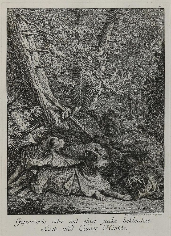 Große Abbildung Nr.1: 133-2157 Ridinger,E.J.: (Varia, Jagd, Hunde)
