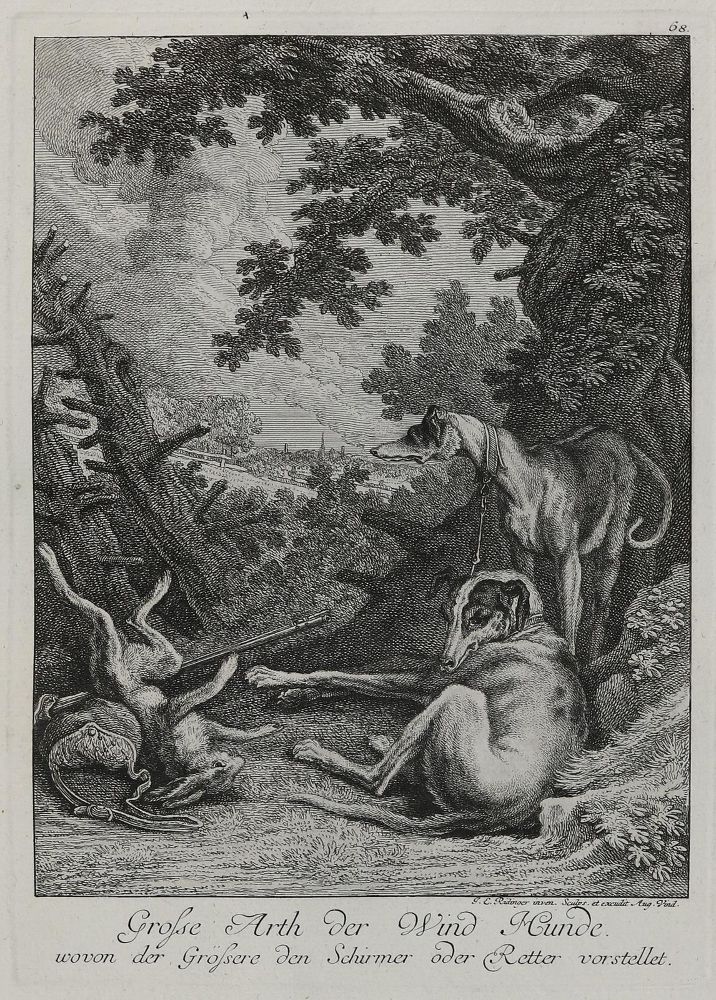 Große Abbildung Nr.1: 133-2158 Ridinger,E.J.: (Varia, Jagd, Hunde)