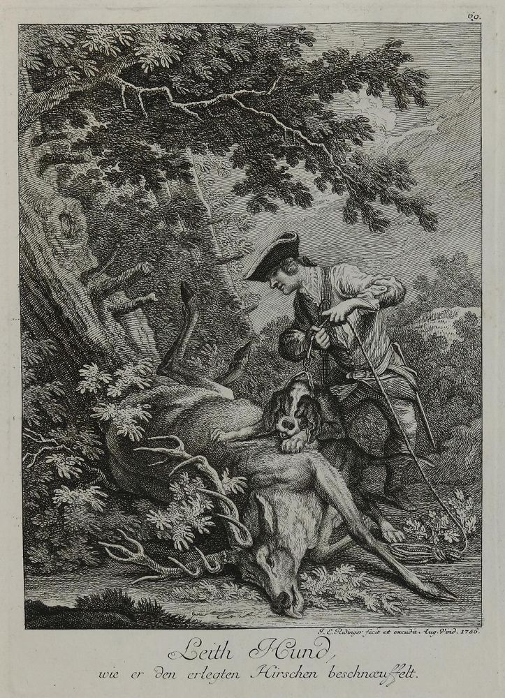 Große Abbildung Nr.1: 133-2159 Ridinger,E.J.: (Varia, Jagd, Hunde)