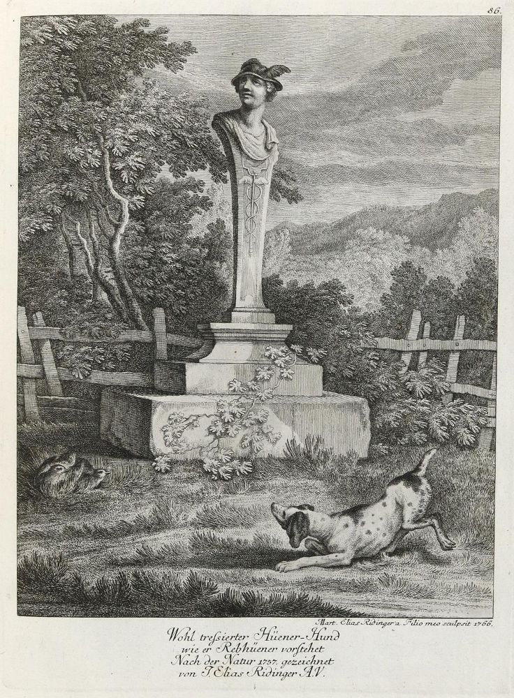 Große Abbildung Nr.1: 133-2160 Ridinger,E.J.: (Varia, Jagd, Hunde)