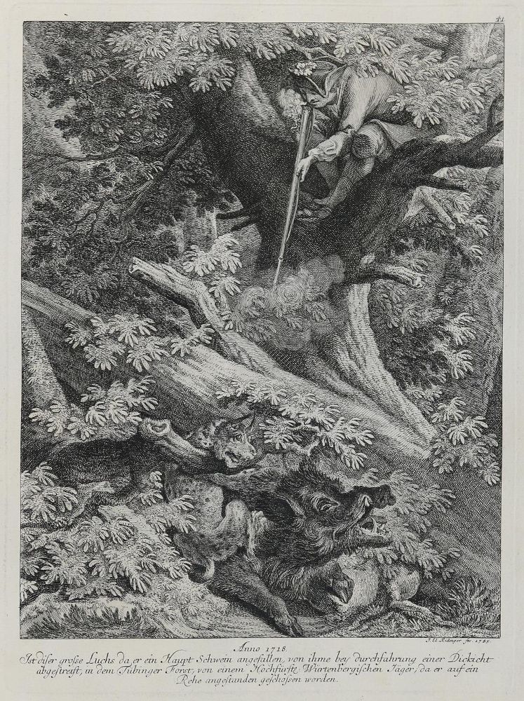 Große Abbildung Nr.1: 133-2162 Ridinger,E.J.: (Varia, Jagd, Luchs)