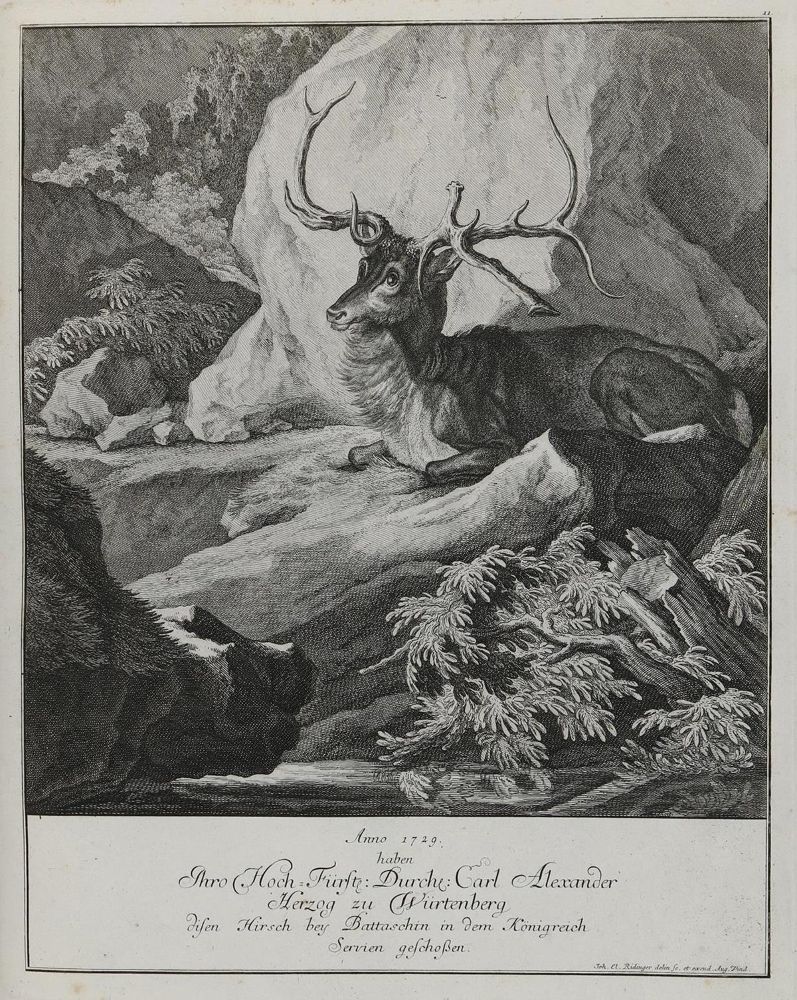 Große Abbildung Nr.1: 133-2168 Ridinger,E.J.: (Varia, Jagd, Wildschweine)