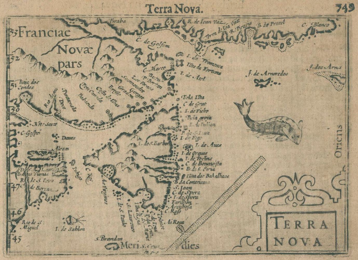 Große Abbildung Nr.1: 133-2510 Neufundland.: (Amerika)