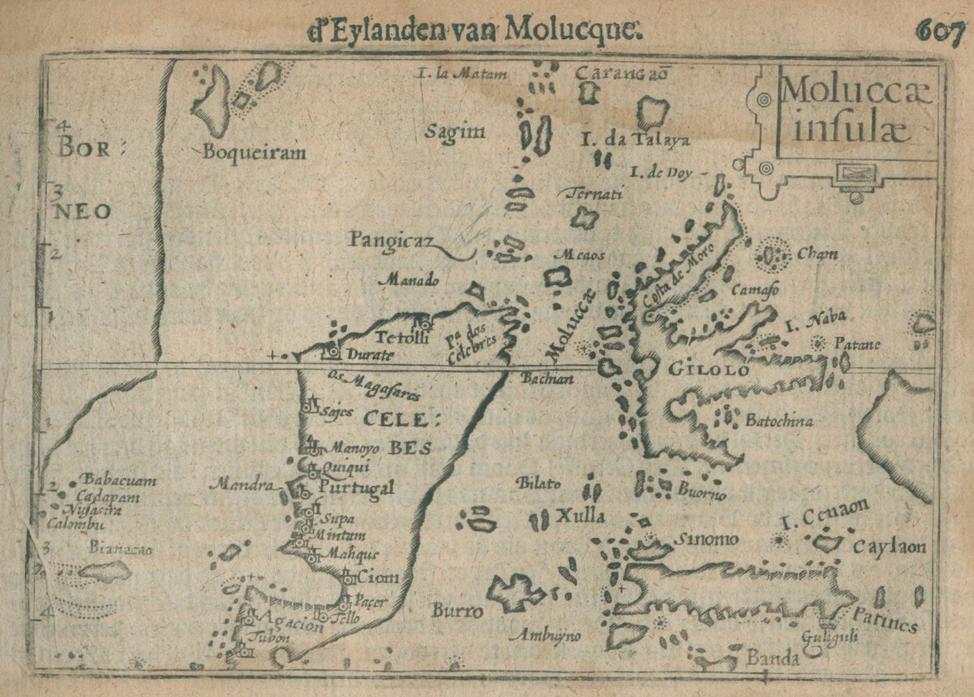 Große Abbildung Nr.1: 133-2536 Molukken.: (Asien)