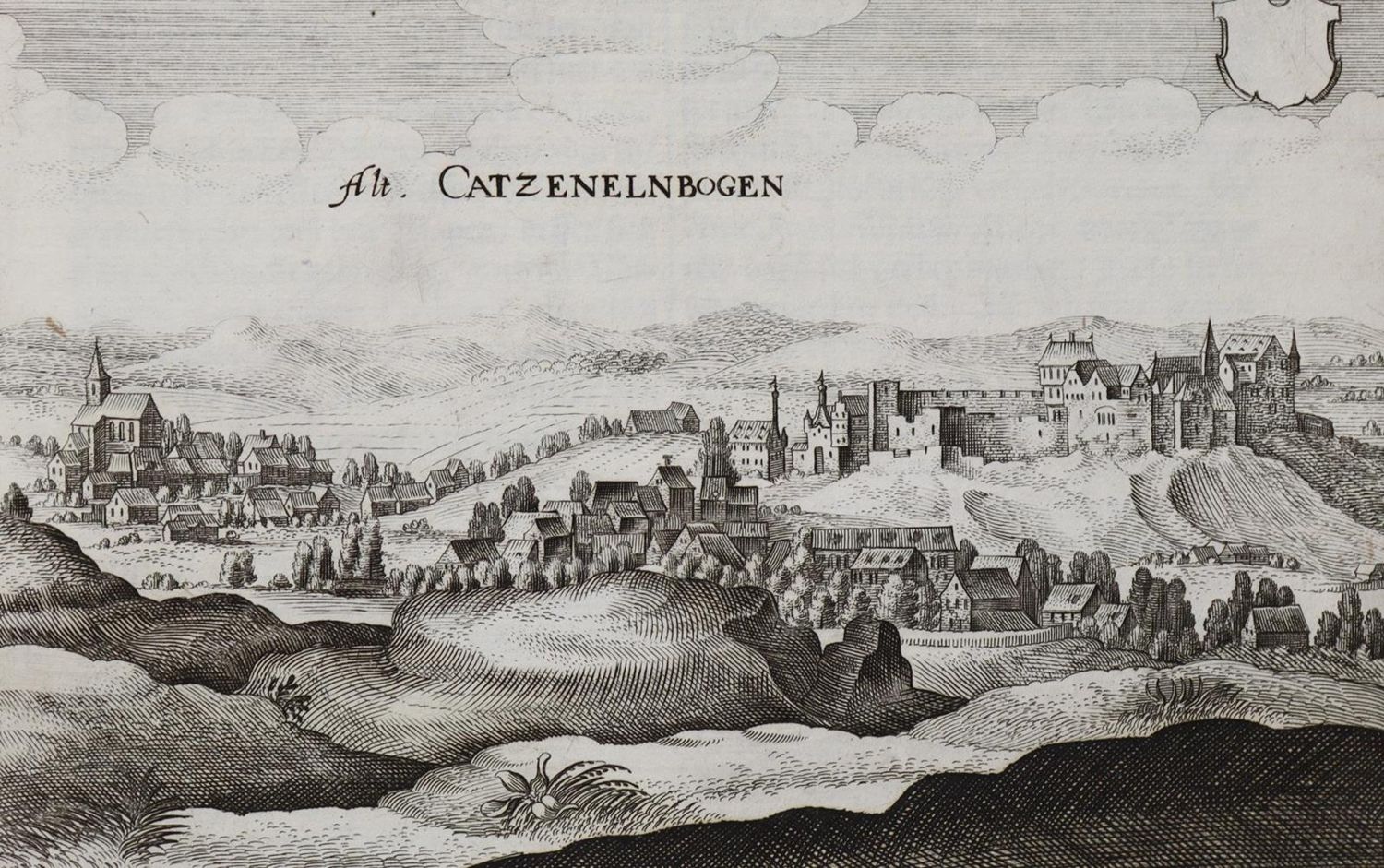 Große Abbildung Nr.1: 133-2556 Altkatzenelnbogen.: (Deutschland)