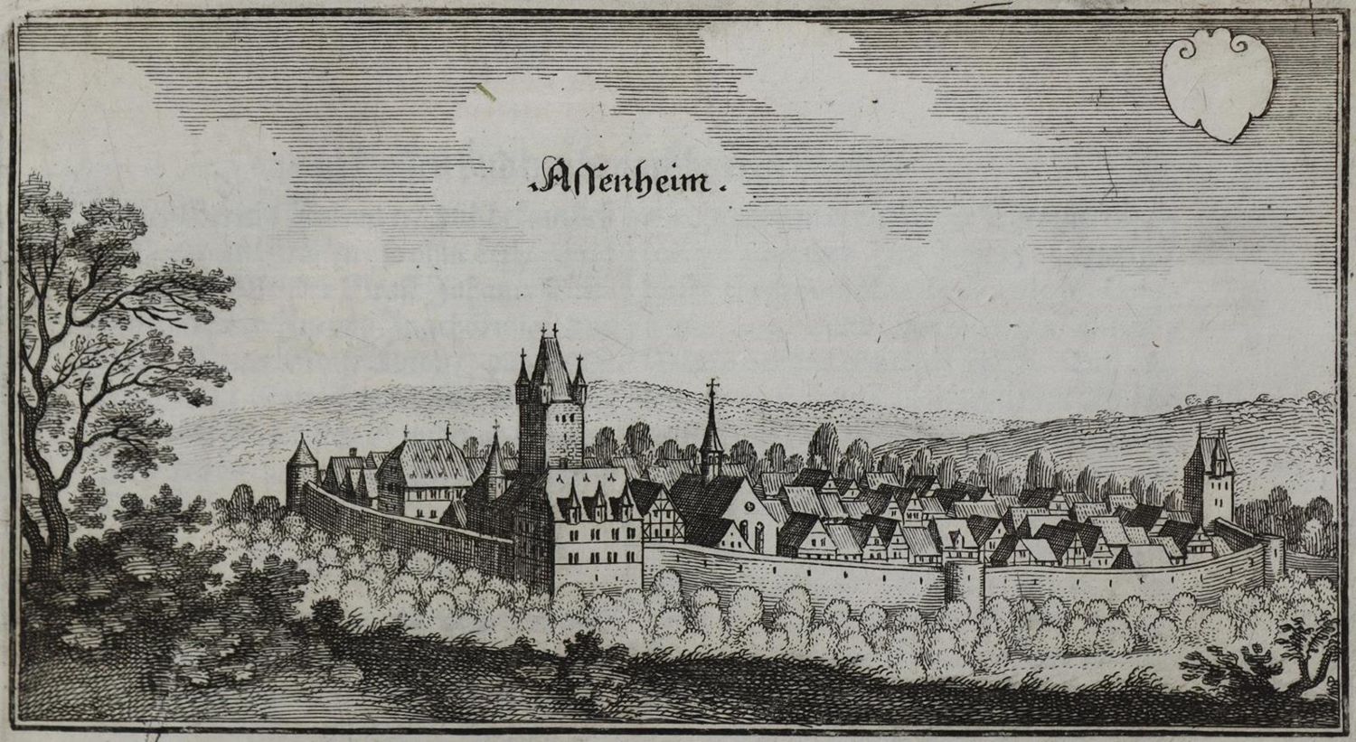 Große Abbildung Nr.1: 133-2565 Assenheim.: (Deutschland)