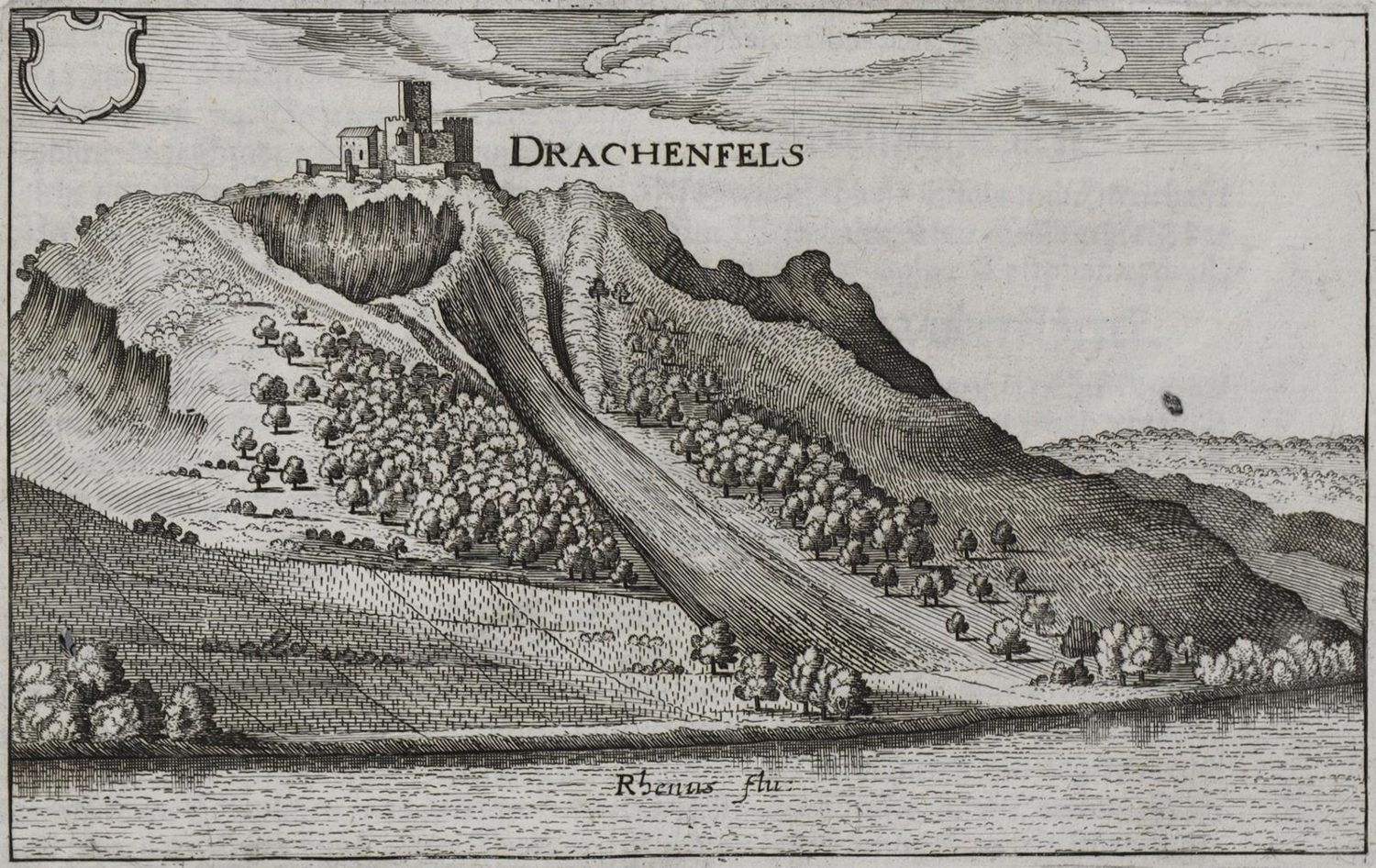 Große Abbildung Nr.1: 133-2609 Burg Drachenfels.: (Deutschland)
