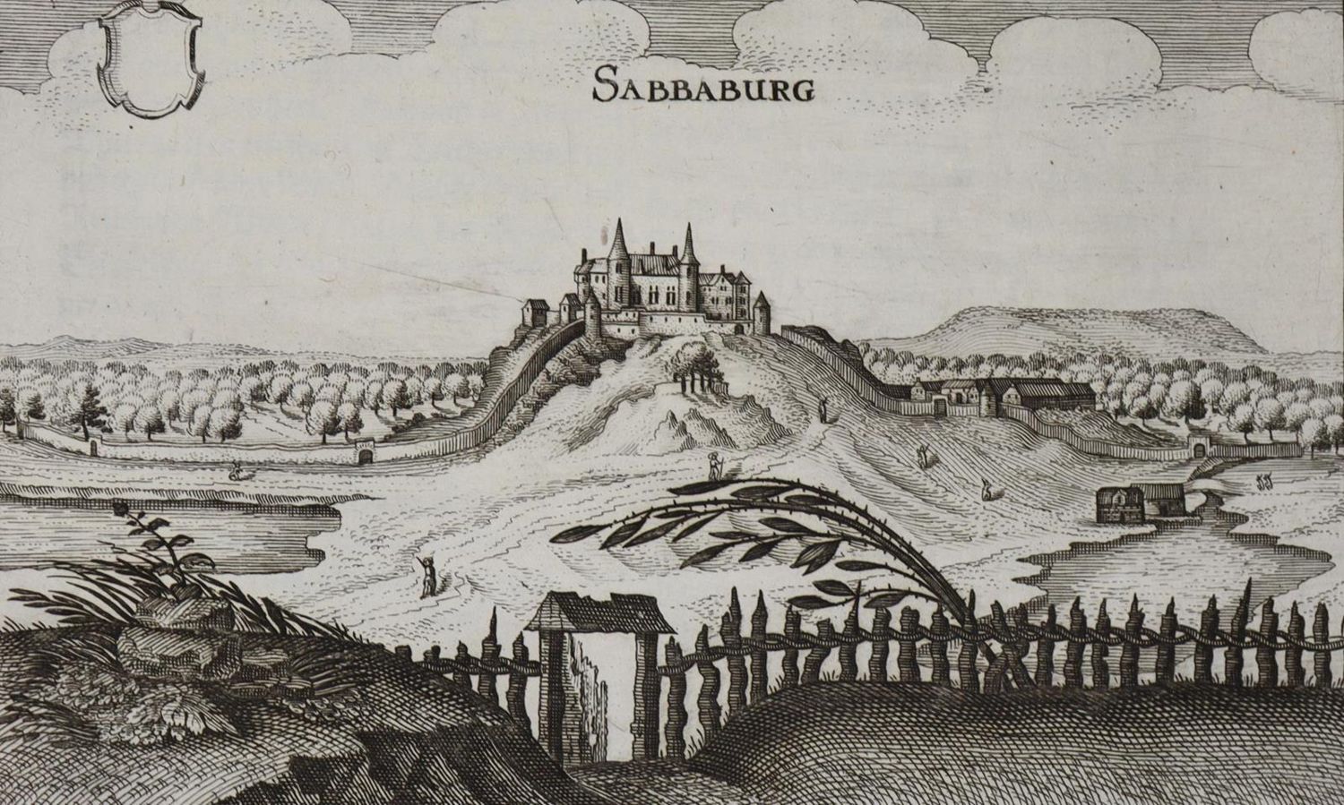 Große Abbildung Nr.1: 133-2850 Sababurg.: (Deutschland)