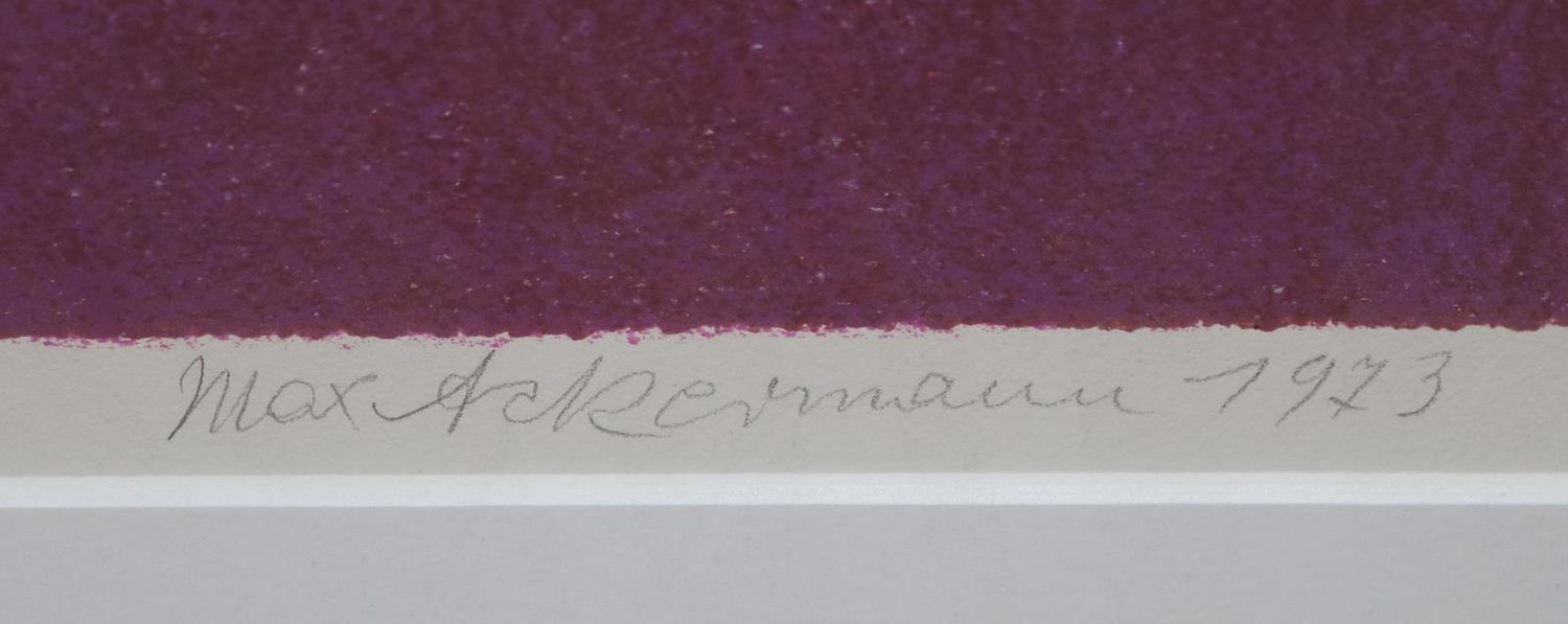 Große Abbildung Nr.2: 133-3199 Ackermann, Max: (Künstlergraphik)
