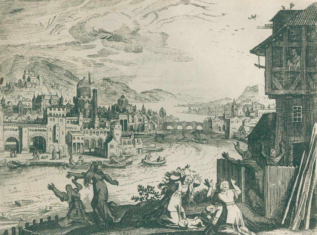 Große Abbildung Nr.1: 133-32 Merian,M.: (Bibeln)