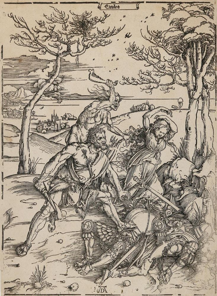 Große Abbildung Nr.1: 133-3428 Dürer, Albrecht: (Künstlergraphik)